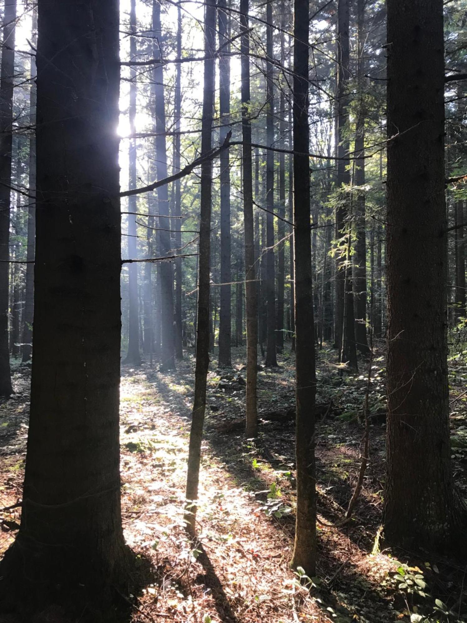 Zakatek Hotell Wysowa-Zdrój Exteriör bild